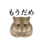 仕事終わり一言〜ジャンガリアンハムスター（個別スタンプ：12）