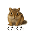 仕事終わりの一言〜リアルで可愛いシマリス（個別スタンプ：1）