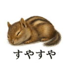 仕事終わりの一言〜リアルで可愛いシマリス（個別スタンプ：2）