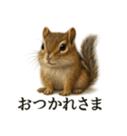 仕事終わりの一言〜リアルで可愛いシマリス（個別スタンプ：3）