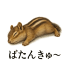 仕事終わりの一言〜リアルで可愛いシマリス（個別スタンプ：4）