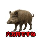 Re:狩猟界隈で流行りのスタンプ その壱（個別スタンプ：1）