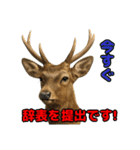 Re:狩猟界隈で流行りのスタンプ その壱（個別スタンプ：3）