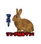 Re:狩猟界隈で流行りのスタンプ その壱（個別スタンプ：4）