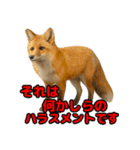 Re:狩猟界隈で流行りのスタンプ その壱（個別スタンプ：8）
