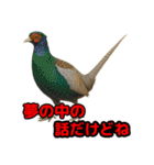 Re:狩猟界隈で流行りのスタンプ その壱（個別スタンプ：9）