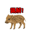 Re:狩猟界隈で流行りのスタンプ その壱（個別スタンプ：10）