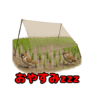 Re:狩猟界隈で流行りのスタンプ その壱（個別スタンプ：13）
