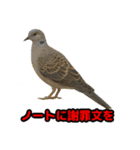Re:狩猟界隈で流行りのスタンプ その壱（個別スタンプ：15）