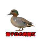 Re:狩猟界隈で流行りのスタンプ その壱（個別スタンプ：16）