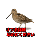 Re:狩猟界隈で流行りのスタンプ その壱（個別スタンプ：20）