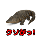 Re:狩猟界隈で流行りのスタンプ その壱（個別スタンプ：21）
