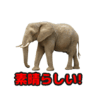 Re:狩猟界隈で流行りのスタンプ その壱（個別スタンプ：26）