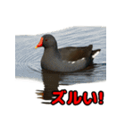 Re:狩猟界隈で流行りのスタンプ その壱（個別スタンプ：35）