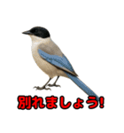 Re:狩猟界隈で流行りのスタンプ その壱（個別スタンプ：39）