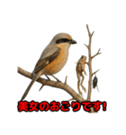Re:狩猟界隈で流行りのスタンプ その壱（個別スタンプ：40）