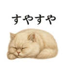 仕事終わりの一言〜ペルシャ猫（個別スタンプ：1）