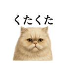 仕事終わりの一言〜ペルシャ猫（個別スタンプ：2）