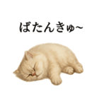 仕事終わりの一言〜ペルシャ猫（個別スタンプ：3）