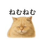 仕事終わりの一言〜ペルシャ猫（個別スタンプ：8）