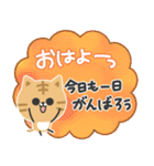 毎日使える♡やさしい茶トラ猫（個別スタンプ：1）