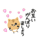 毎日使える♡やさしい茶トラ猫（個別スタンプ：3）