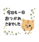 毎日使える♡やさしい茶トラ猫（個別スタンプ：8）