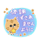 毎日使える♡やさしい茶トラ猫（個別スタンプ：11）