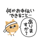 毎日使える♡やさしい茶トラ猫（個別スタンプ：12）