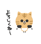 毎日使える♡やさしい茶トラ猫（個別スタンプ：25）