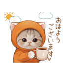 スコティッシュ猫 みかんネコ 思いやり敬語（個別スタンプ：1）