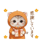 スコティッシュ猫 みかんネコ 思いやり敬語（個別スタンプ：5）