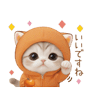 スコティッシュ猫 みかんネコ 思いやり敬語（個別スタンプ：8）