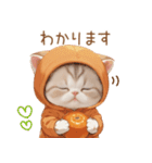 スコティッシュ猫 みかんネコ 思いやり敬語（個別スタンプ：16）