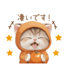 スコティッシュ猫 みかんネコ 思いやり敬語（個別スタンプ：19）
