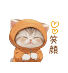スコティッシュ猫 みかんネコ 思いやり敬語（個別スタンプ：21）