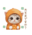スコティッシュ猫 みかんネコ 思いやり敬語（個別スタンプ：22）