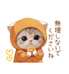 スコティッシュ猫 みかんネコ 思いやり敬語（個別スタンプ：23）