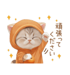スコティッシュ猫 みかんネコ 思いやり敬語（個別スタンプ：24）