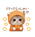 スコティッシュ猫 みかんネコ 思いやり敬語（個別スタンプ：26）