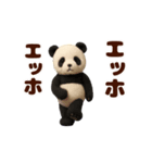 踊る！ぬいぐるみぱんだ/ジャイアントパンダ（個別スタンプ：12）