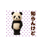 踊る！ぬいぐるみぱんだ/ジャイアントパンダ（個別スタンプ：13）