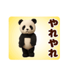 踊る！ぬいぐるみぱんだ/ジャイアントパンダ（個別スタンプ：14）