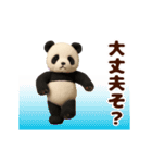 踊る！ぬいぐるみぱんだ/ジャイアントパンダ（個別スタンプ：19）