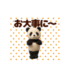 踊る！ぬいぐるみぱんだ/ジャイアントパンダ（個別スタンプ：24）