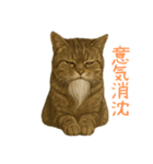 しぶねこ、ひげにゃん2（個別スタンプ：2）