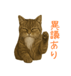 しぶねこ、ひげにゃん2（個別スタンプ：13）