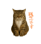 しぶねこ、ひげにゃん2（個別スタンプ：15）