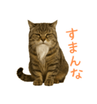 しぶねこ、ひげにゃん2（個別スタンプ：16）