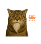 しぶねこ、ひげにゃん2（個別スタンプ：31）
